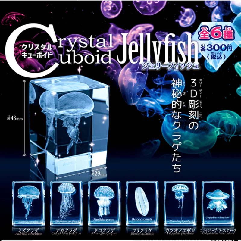 Aquarium Fish Japan - Japonya Gashapon denizanası 3D kristal Cuboid