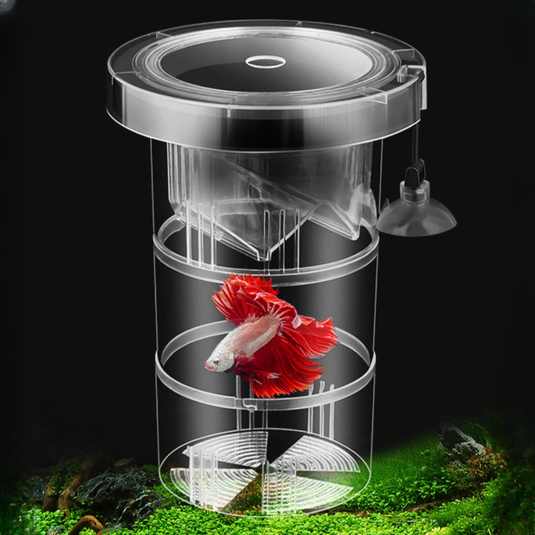 Aquarium Fish Marine - Akrilik Yüzen Balık Yetiştirme İzolasyon Kutusu