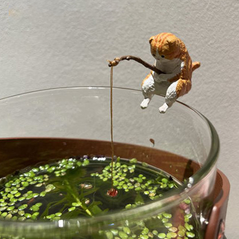 1 adet yaratıcı balıkçılık ked - Aquarium Mini Fish incelemesi ve fiyatı