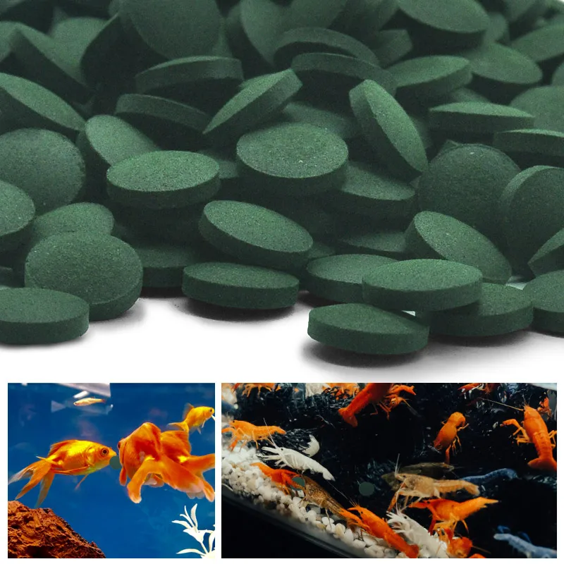 100 adet Yüksek Saflıkta Spiru - Fish Food Flake incelemesi ve fiyatı