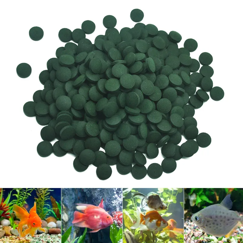 100 adet Yüksek Saflıkta Spiru - Fish Food Flake incelemesi ve fiyatı