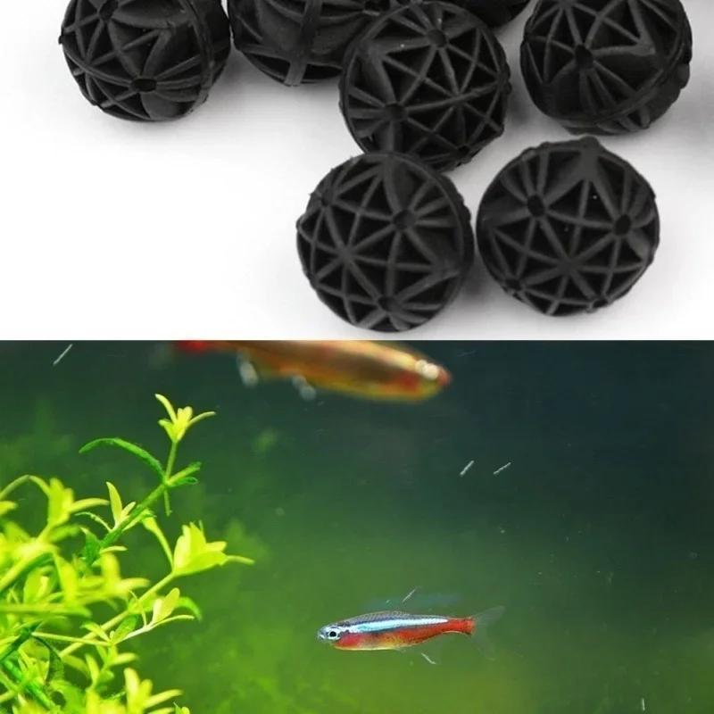 50 Adet 16mm Akvaryum Biyoloji - Aquarium Fish Marine incelemesi ve fiyatı