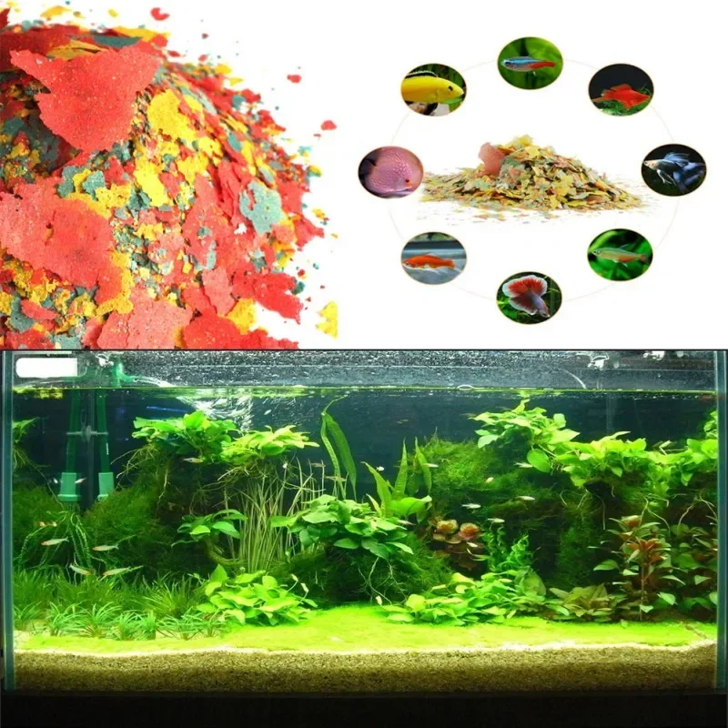 Balık Yemi Boyama ve Parlatıcı - Fish Food Flake incelemesi ve fiyatı