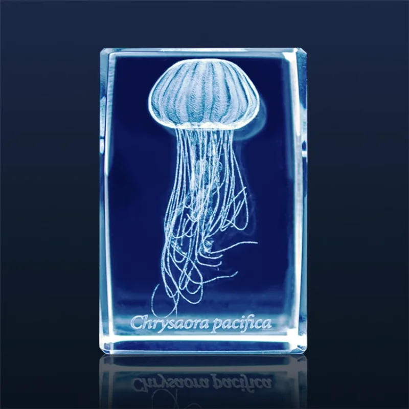 Japonya Gashapon denizanası 3D - Aquarium Fish Japan incelemesi ve fiyatı