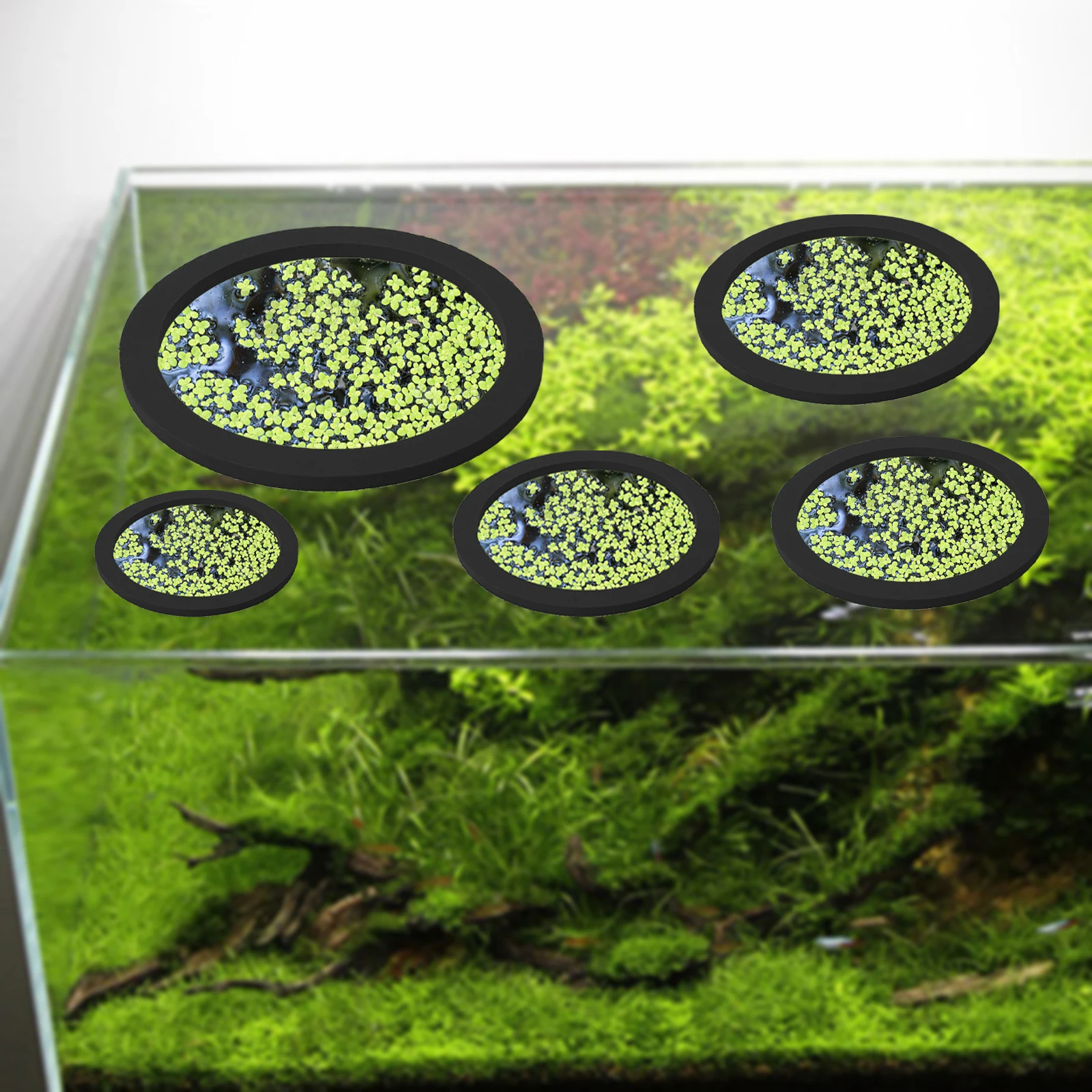 5 adet EVA balık besleme halka - Aquarium Fish Marine incelemesi ve fiyatı