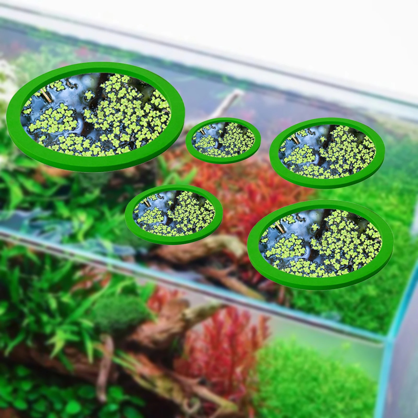 5 adet EVA balık besleme halka - Aquarium Fish Marine incelemesi ve fiyatı