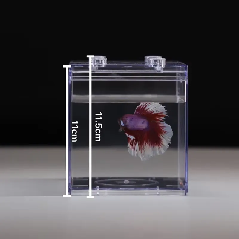 Relaxlines Mini Akvaryum Kutus - Aquarium Mini Fish incelemesi ve fiyatı