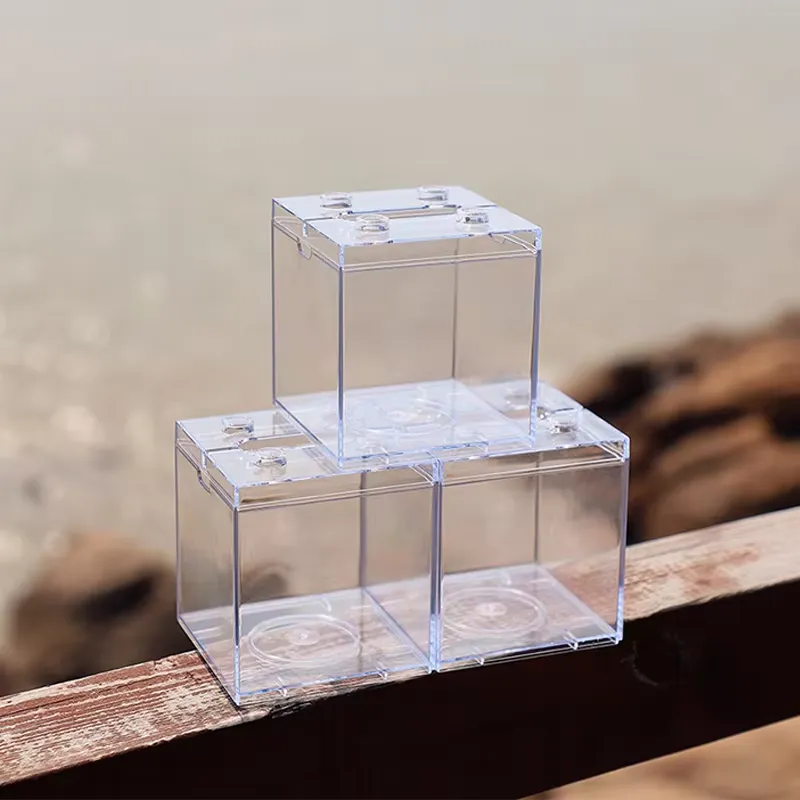 Relaxlines Mini Akvaryum Kutus - Aquarium Mini Fish incelemesi ve fiyatı