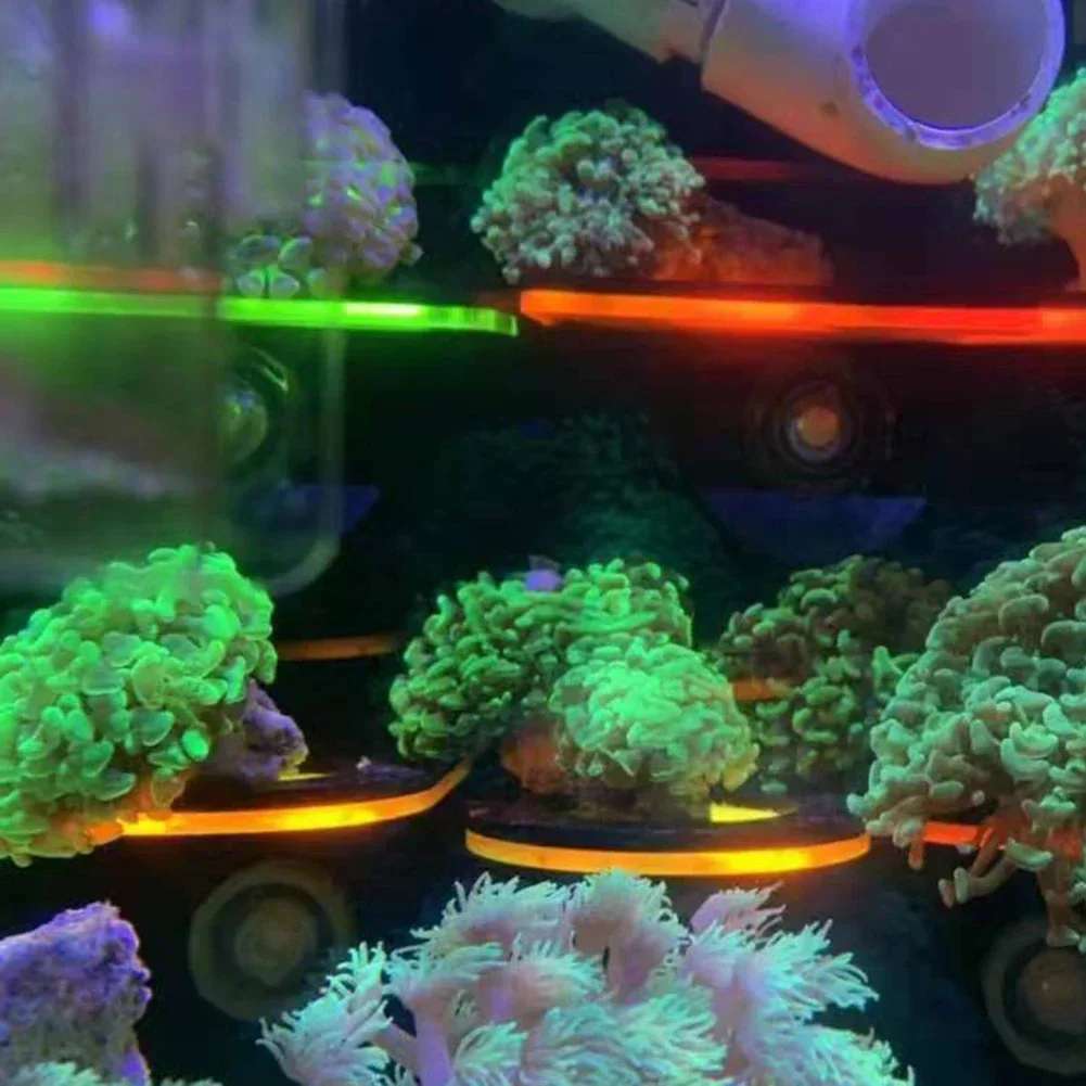 Balık Tankı Akrilik Floresan M - Aquarium Fish Marine incelemesi ve fiyatı