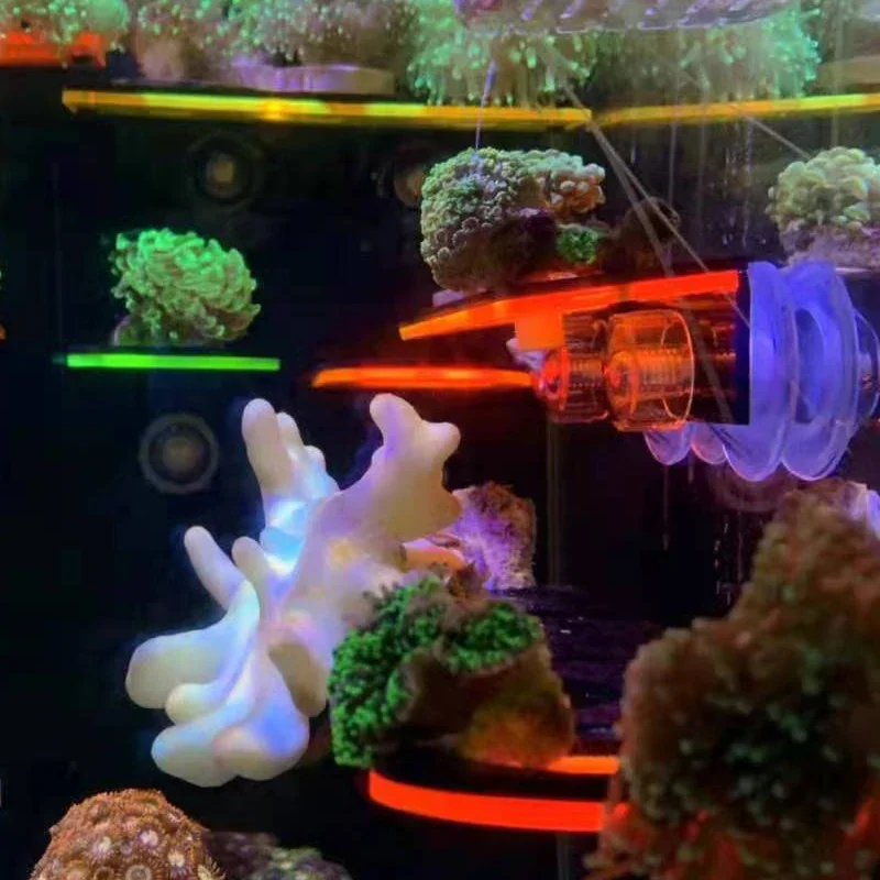 Balık Tankı Akrilik Floresan M - Aquarium Fish Marine incelemesi ve fiyatı