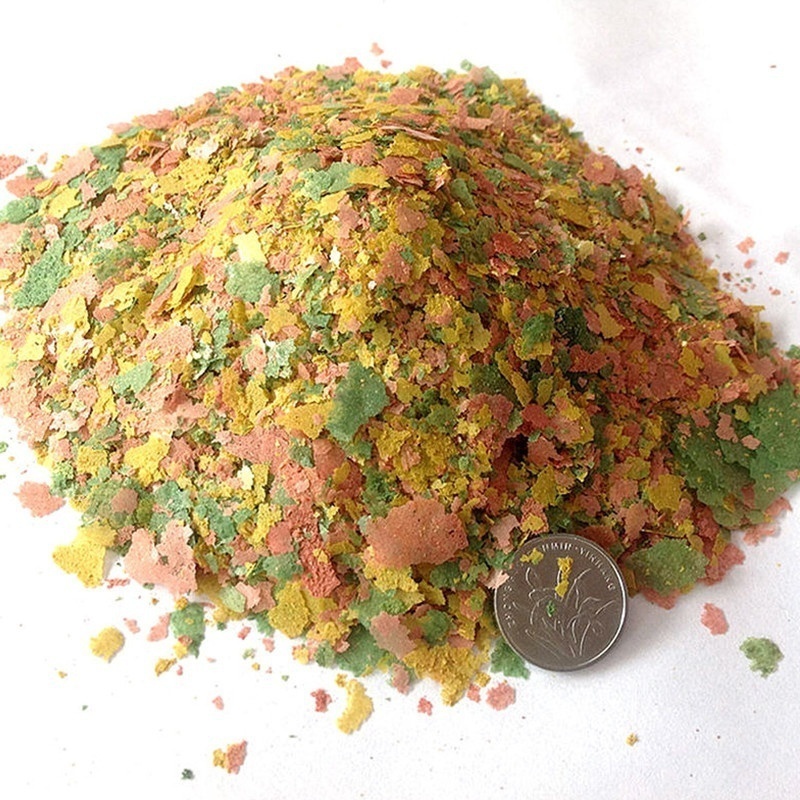 2026 Taze Tropikal Balık Gevre - Fish Food Flake incelemesi ve fiyatı