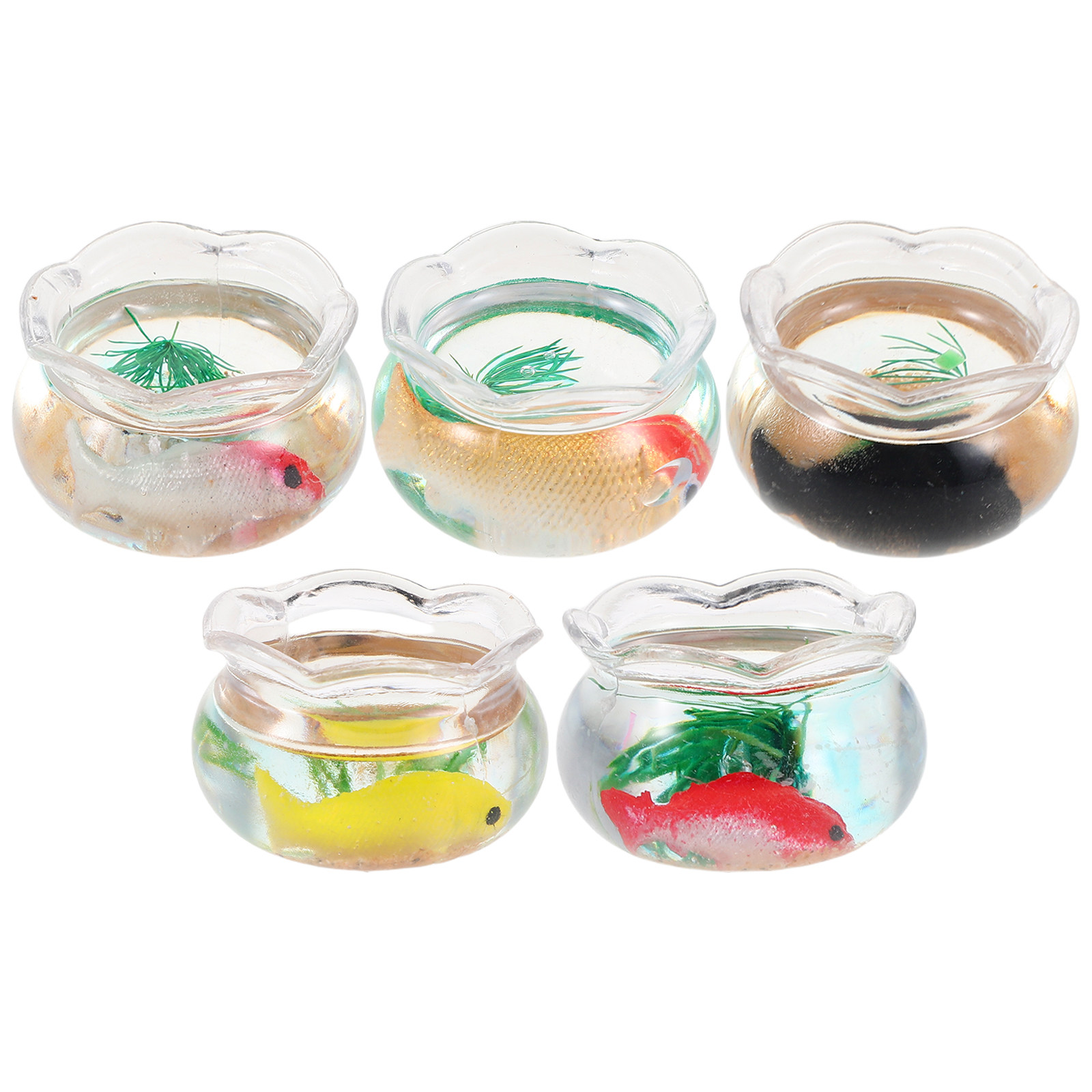 5 Adet Mini Balık Akvaryumu Kü - Aquarium Mini Fish incelemesi ve fiyatı