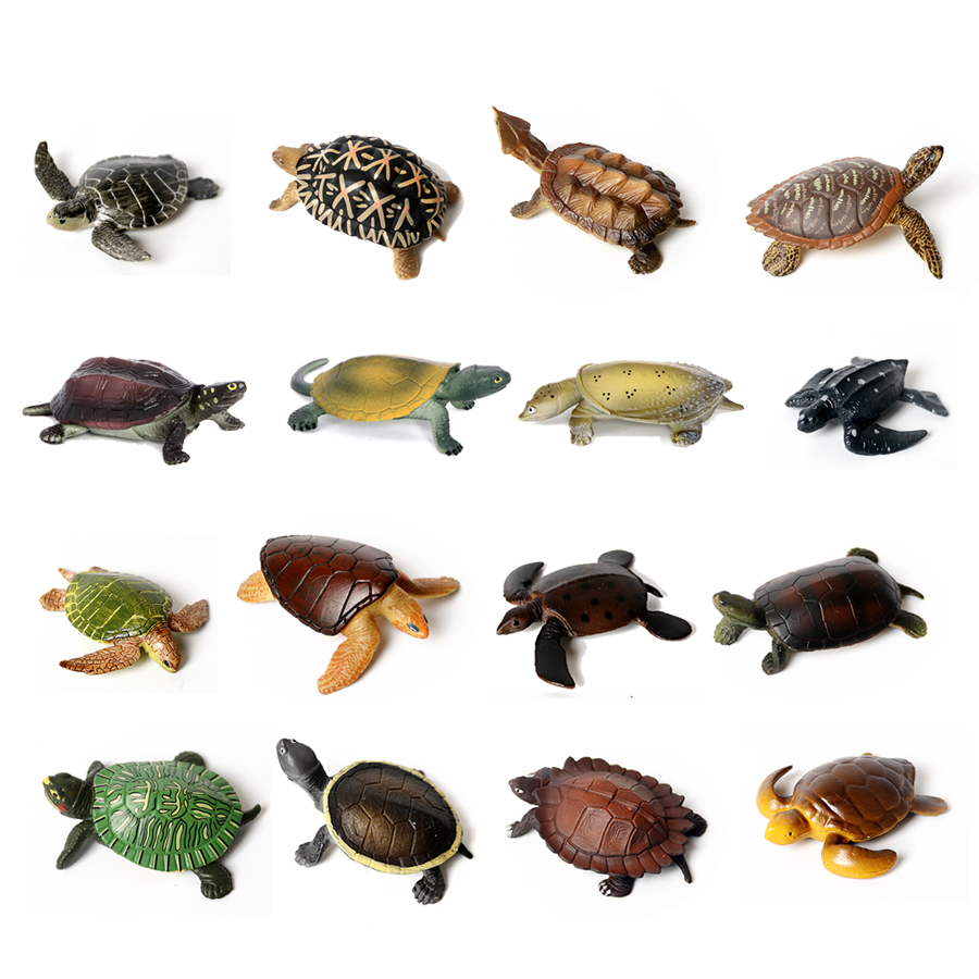 Gerçekçi minyatürleri deniz ya - Aquarium Fish Marine incelemesi ve fiyatı